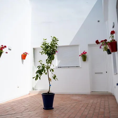 La Barilla Conil De La Frontera